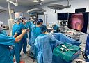 Итоги курса «Видео-ассистированные органосохраняющие операции при опухолях почек»