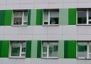 Под окнами детского института расцветут алые сердца из тюльпанов, посаженных послом Королевства Нидерландов