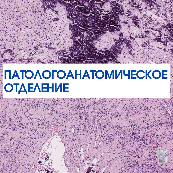 Дорогие друзья, мы обновили информацию на сайте о патологоанатомическом отделении!