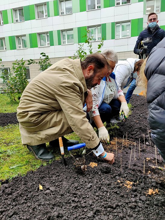 Под окнами детского института расцветут алые сердца из тюльпанов, посаженных послом Королевства Нидерландов