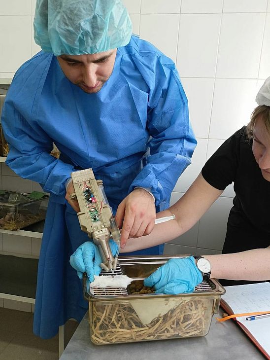 Ученые НМИЦ онкологии им. Н.Н. Блохина проводят доклинические испытания первого в России «тканевого пистолета» для заживления ран