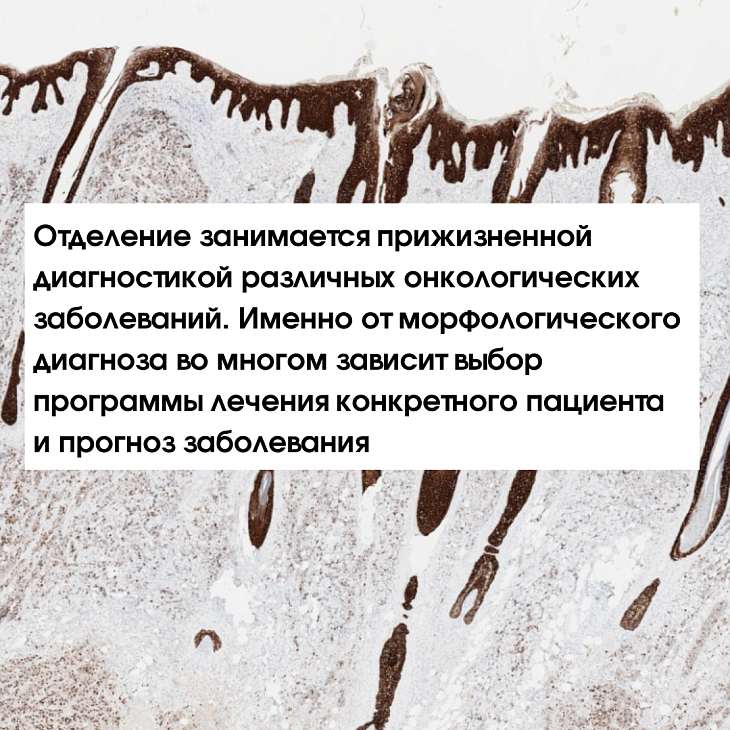 Дорогие друзья, мы обновили информацию на сайте о патологоанатомическом отделении!