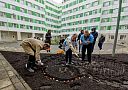 Под окнами детского института расцветут алые сердца из тюльпанов, посаженных послом Королевства Нидерландов