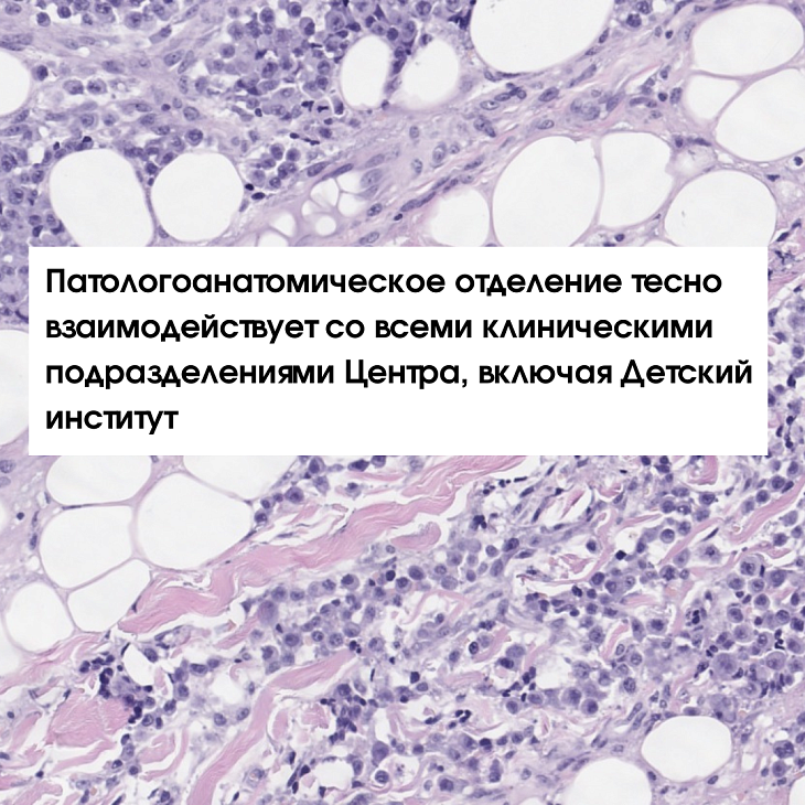 Дорогие друзья, мы обновили информацию на сайте о патологоанатомическом отделении!