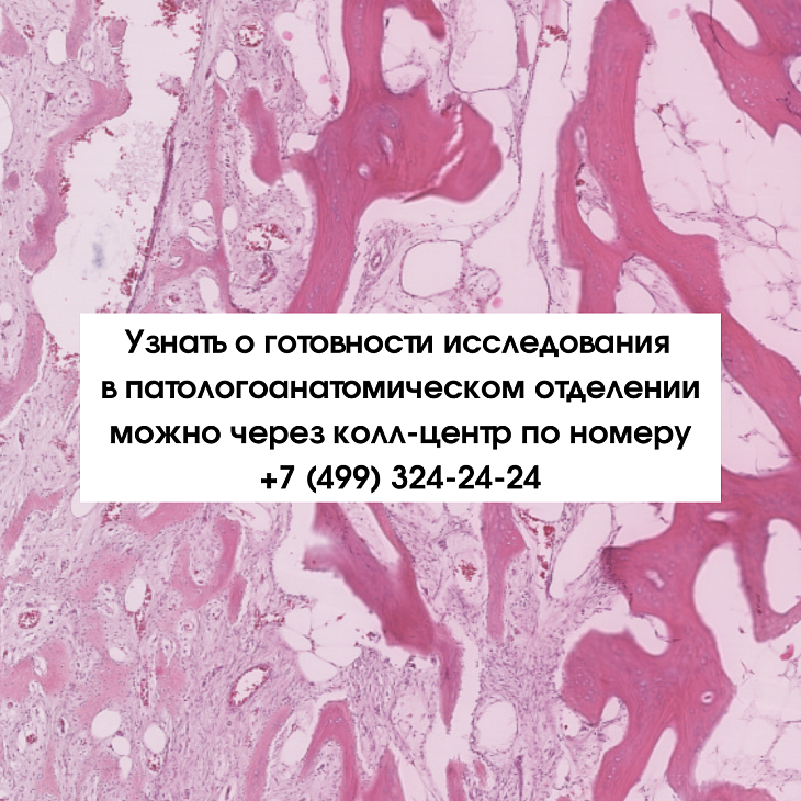 Дорогие друзья, мы обновили информацию на сайте о патологоанатомическом отделении!