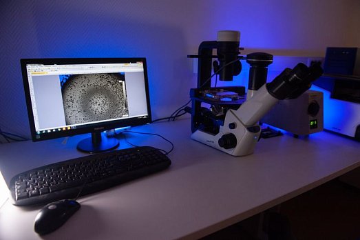 Профилактика может предотвратить до 50% случаев онкологических заболеваний. Или кто решил, что пить, курить и загорать опасно для жизни